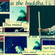 Shaolin collage.